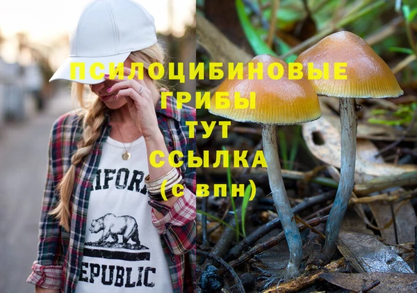 бутират Богданович