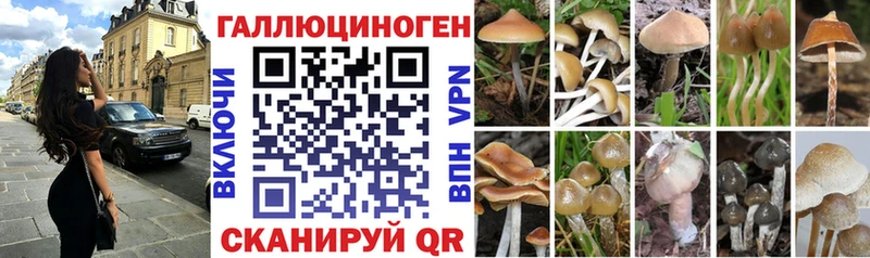хочу   Касимов  нарко площадка какой сайт  Псилоцибиновые грибы мухоморы 